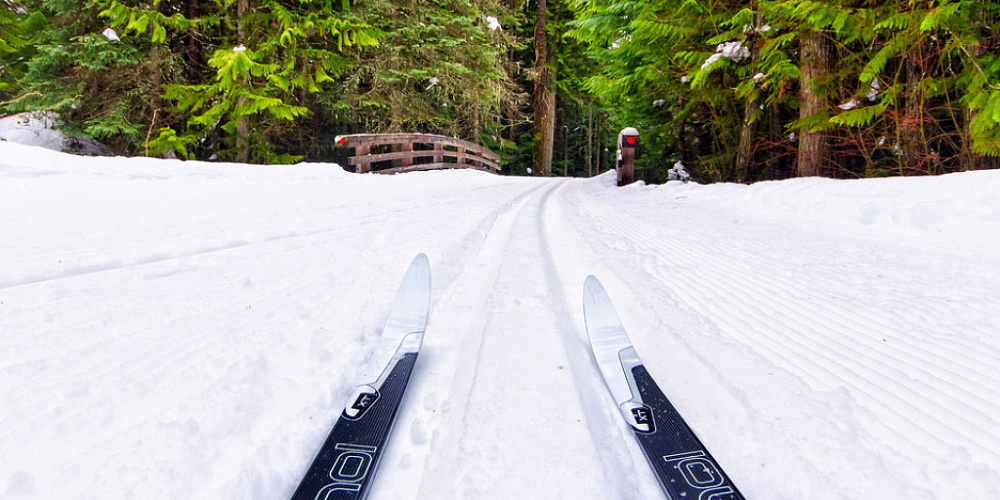 Зимние экотропы